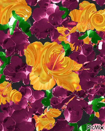 kvety - Ingyenes animált GIF