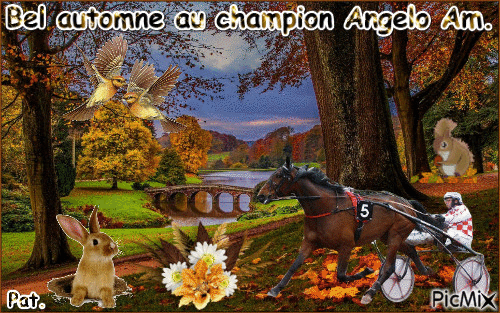 Le champion Angelo Am. - Bezmaksas animēts GIF