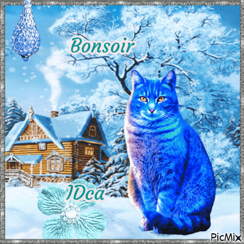 Bonsoir les chatons - Bezmaksas animēts GIF