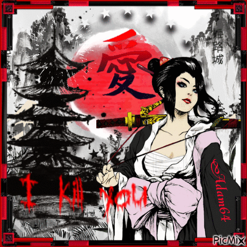 Warrior geisha