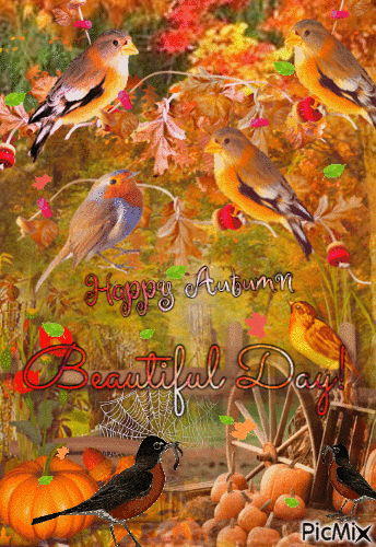Autumn Birds - Бесплатный анимированный гифка