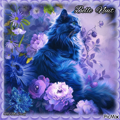 chat fleurs belle nuit - Free animated GIF