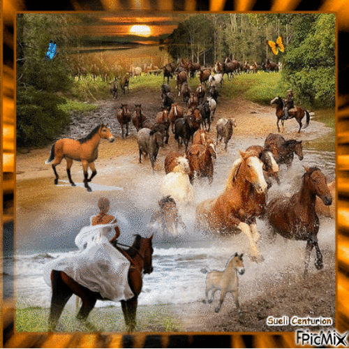 A senhora  com seus cavalos - Darmowy animowany GIF