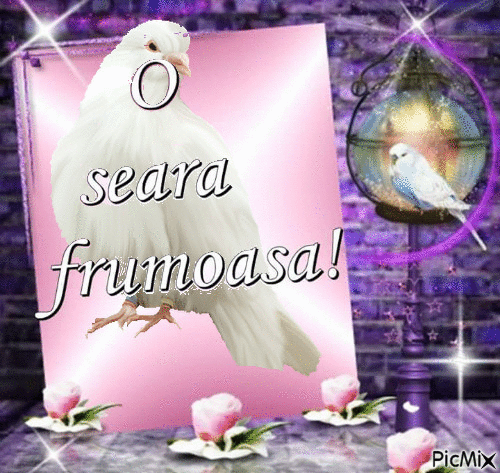 O SEARA FRUMOASA - Бесплатный анимированный гифка
