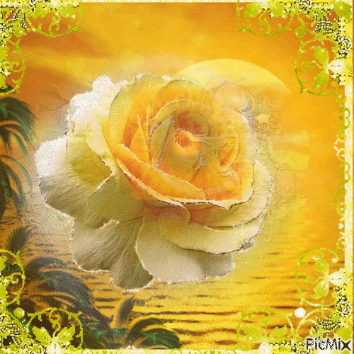 yellow rose - Darmowy animowany GIF