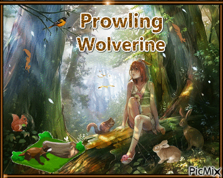 wolverine - Nemokamas animacinis gif