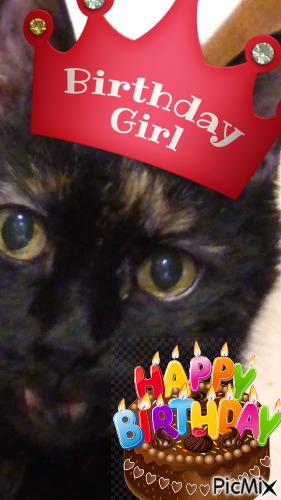 BROWSY SUE BIRTHDAY 2020 - Free PNG