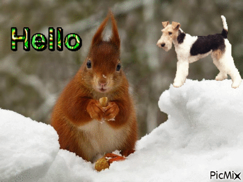 HELLO - Ingyenes animált GIF