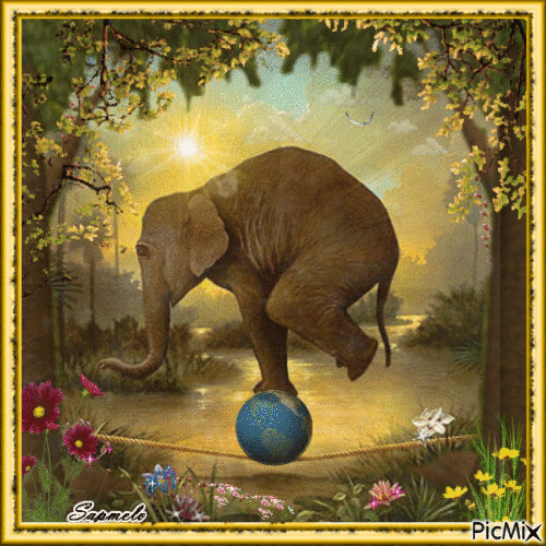 Elefante equilibrista - GIF animado grátis