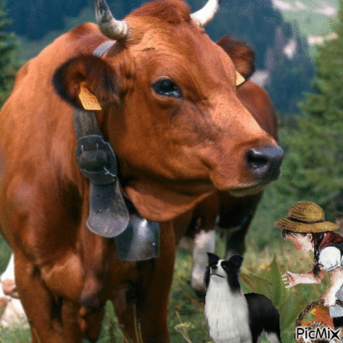 Vache - Gratis animeret GIF