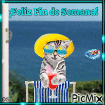 Gato con Gafas - Free animated GIF - PicMix