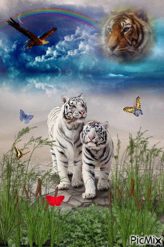 tigre blanc - Gratis geanimeerde GIF