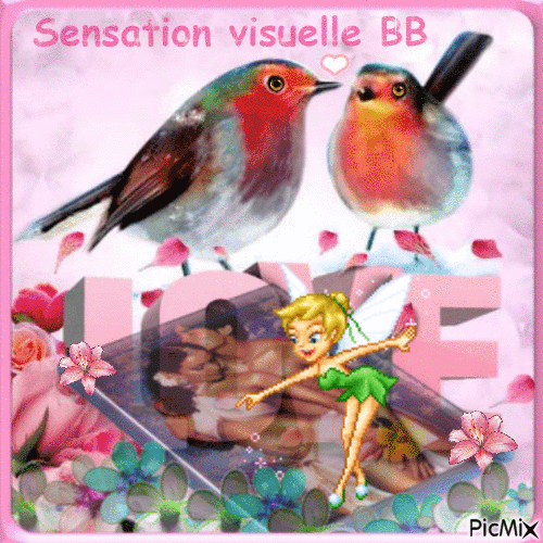 Sensation visuelle BB - Zdarma animovaný GIF