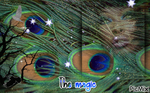 the magic - Δωρεάν κινούμενο GIF