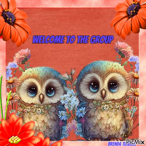 welcome owl - nemokama png