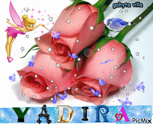 Yadira - GIF animado grátis