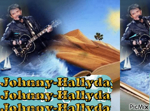 JOHNNY HALLYDAY - Zdarma animovaný GIF