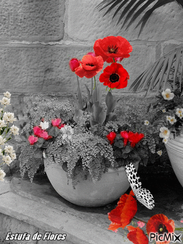 Estufa de Flores 🌸🌸 - GIF animé gratuit