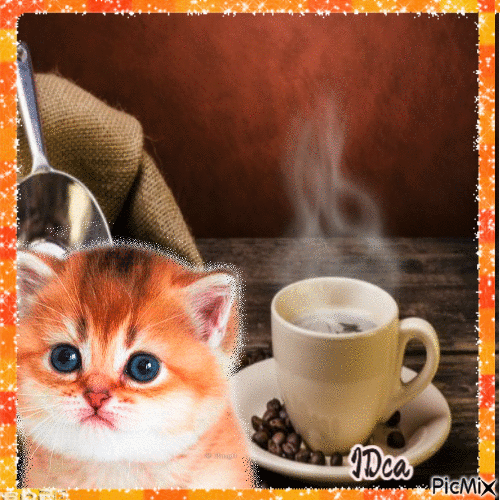 Addict on coffee      chat - 無料のアニメーション GIF