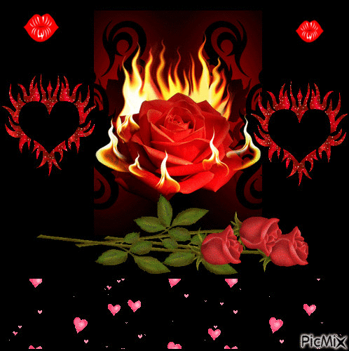 feier rose - Безплатен анимиран GIF