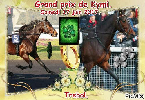Le champion Trebol. - Δωρεάν κινούμενο GIF