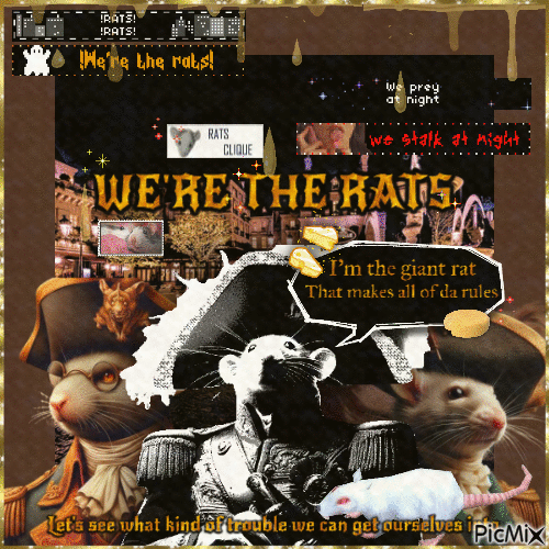 "We're the rats" In honour of 'Jerma985' - Gratis geanimeerde GIF