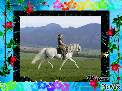 equitation - GIF animate gratis
