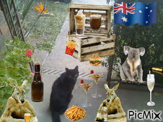 Aussie Spunky wf Aussie fwendz - GIF animado gratis