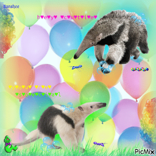 (っ◔◡◔)っ ♥ anteater ♥ - GIF animé gratuit