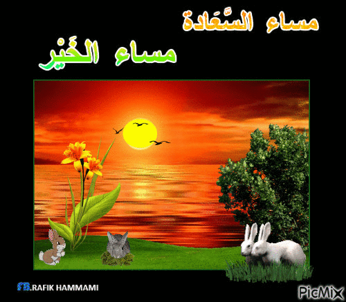 مساء الخير - Бесплатни анимирани ГИФ