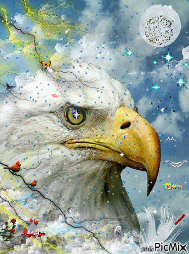 Eagle2015 - GIF animasi gratis