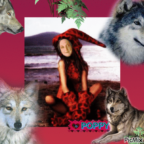 Chaperon Rouge et les Loups - 無料のアニメーション GIF