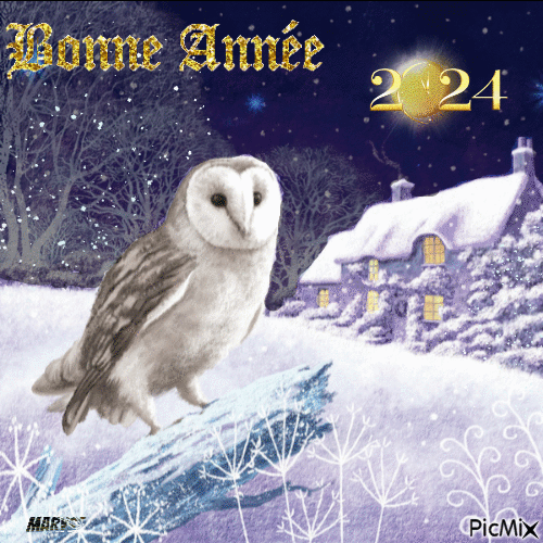 BONNE ANNEE - 無料のアニメーション GIF