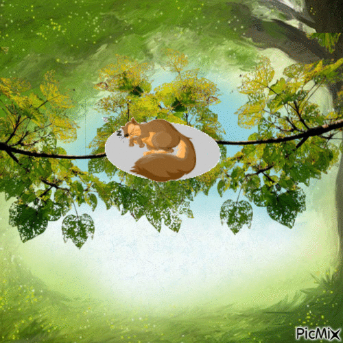 Cozy Squirrel - Free animated GIF