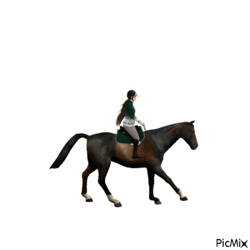 Girl riding on horse  🐎 - 免费动画 GIF