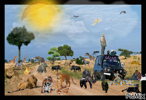 safari - GIF animé gratuit