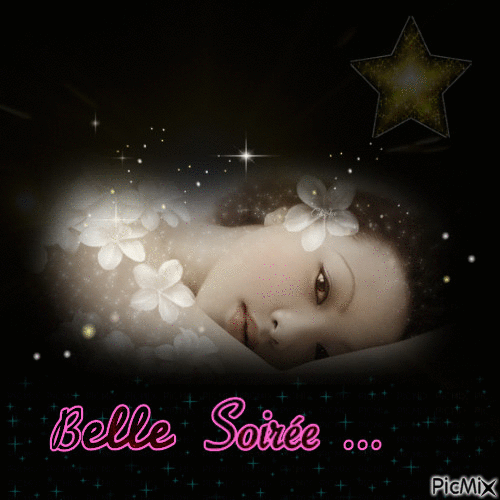 Belle Soirée ... - Безплатен анимиран GIF