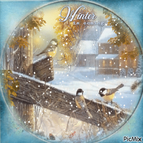 winter birds - GIF animado gratis