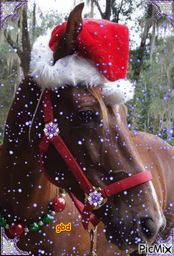 Christmas Horse - Gratis animerad GIF