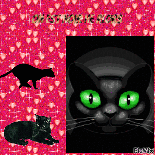 chat noir - Animovaný GIF zadarmo