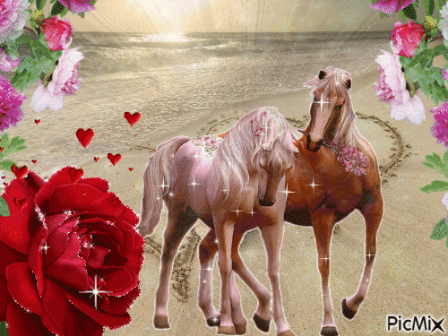 chevaux amoureux - Animovaný GIF zadarmo
