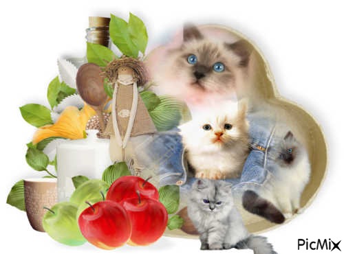 Amour de Chatons - 免费PNG
