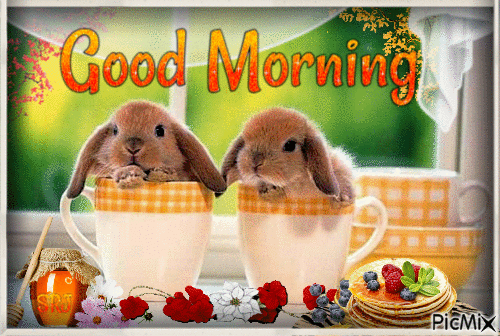 Bunnies Good Morning - GIF animé gratuit