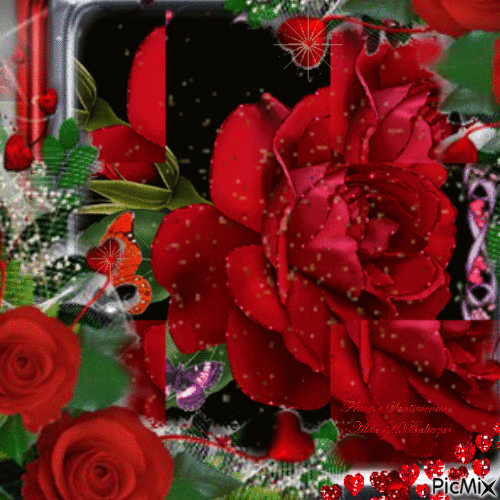 Rosas Vermelhas e Palavras - Free animated GIF - PicMix