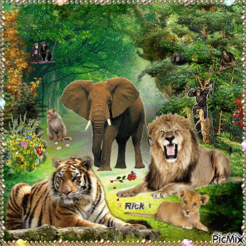 🦁  Jungle Fever   🦁  Sept  25th,2022 by xRick7701x - 免费动画 GIF