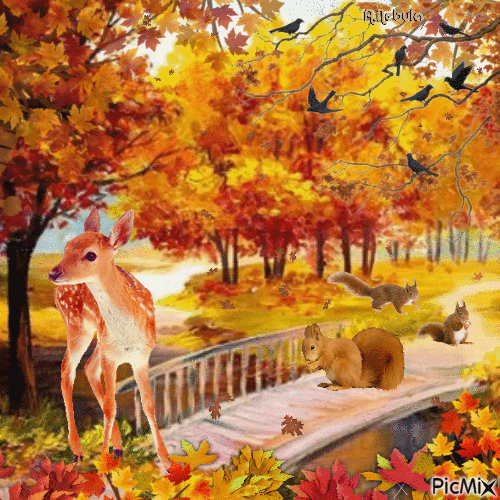 Autumn -contest - Darmowy animowany GIF