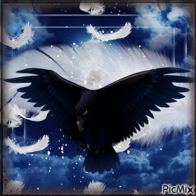 raven - GIF animado gratis