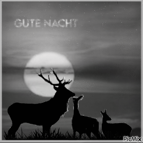Gute Nacht - Nemokamas animacinis gif