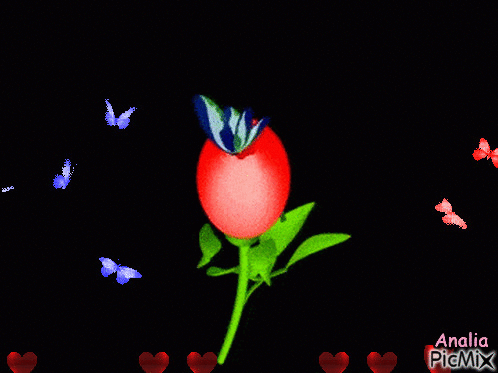 feliz primavera - Безплатен анимиран GIF