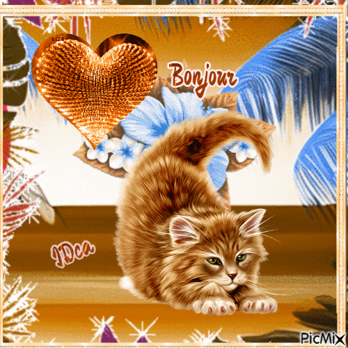 Bonjour les chatons - Animovaný GIF zadarmo